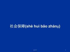 社会保障PPT学习教案