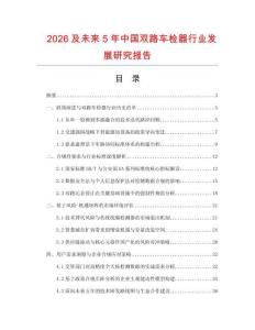 2026及未来5年中国双路车检器行业发展研究报告