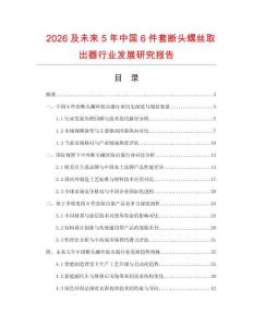 2026及未來5年中國6件套斷頭螺絲取出器行業發展研究報告