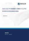 2026-2032年中國硫酸慶大霉素片行業市場競爭現狀及投資戰略研判報告