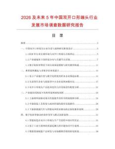 2026及未來5年中國雙開口形端頭行業(yè)發(fā)展市場調(diào)查數(shù)據(jù)研究報告