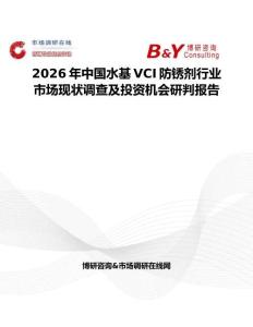 2026年中國(guó)水基VCI防銹劑行業(yè)市場(chǎng)現(xiàn)狀調(diào)查及投資機(jī)會(huì)研判報(bào)告