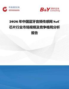 2026年中國藍(lán)牙音頻傳感網(wǎng)SoC芯片行業(yè)市場規(guī)模及競爭格局分析報(bào)告
