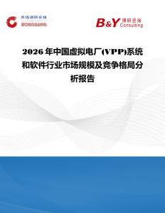 2026年中國虛擬電廠(VPP)系統和軟件行業市場規模及競爭格局分析報告