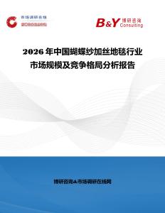 2026年中國蝴蝶紗加絲地毯行業(yè)市場規(guī)模及競爭格局分析報告