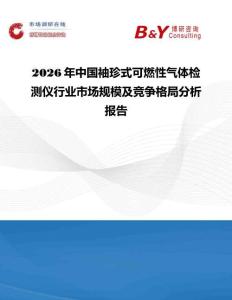 2026年中国袖珍式可燃性气体检测仪行业市场规模及竞争格局分析报告