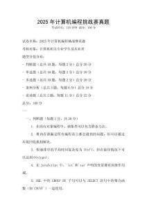 2025年計算機編程挑戰賽真題