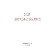 2025湖北省知識產權發展報告