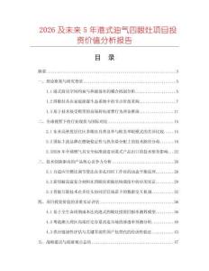 2026及未來5年港式油氣四眼灶項目投資價值分析報告