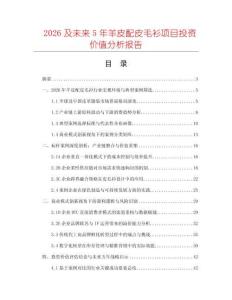 2026及未來5年羊皮配皮毛衫項目投資價值分析報告
