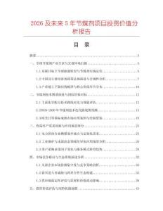 2026及未来5年节煤剂项目投资价值分析报告