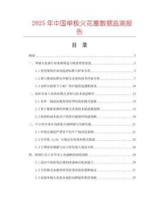 2025年中國單極火花塞數(shù)據(jù)監(jiān)測報告