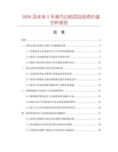 2026及未来5年蒸汽扫把项目投资价值分析报告