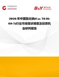 2026年中國氫化鈉(Cas 7646-69-7)行業市場現狀調查及投資機會研判報告