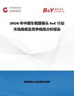 2026年中国车载摄像头SoC行业市场规模及竞争格局分析报告