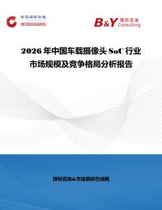 2026年中国车载摄像头SoC行业市场规模及竞争格局分析报告