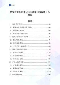 橋梁夜景照明美化行業(yè)跨境出海戰(zhàn)略分析報(bào)告