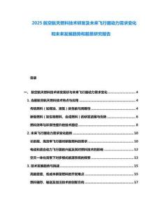 2025航空航天燃料技術(shù)研發(fā)及未來飛行器動力需求變化和未來發(fā)展趨勢和前景研究報告