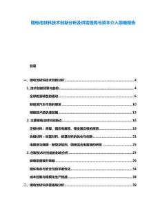 鋰電池材料技術(shù)創(chuàng)新分析及供需格局與資本介入策略報(bào)告