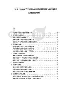2025-2030電子支付行業市場供需發展分析及移動支付投資規劃