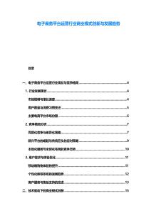 電子商務(wù)平臺運營行業(yè)商業(yè)模式創(chuàng)新與發(fā)展趨勢