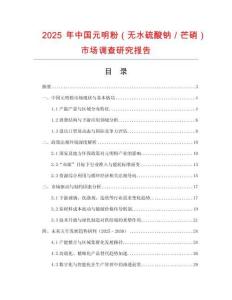 2025年中國元明粉（無水硫酸鈉／芒硝）市場調查研究報告