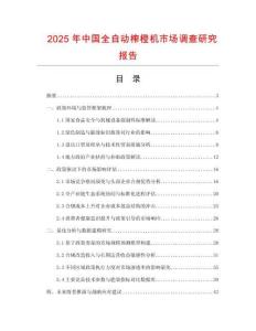 2025年中國全自動榨橙機市場調查研究報告