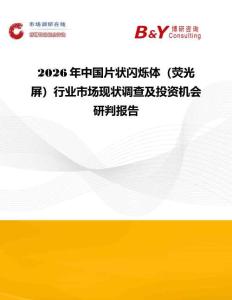 2026年中國片狀閃爍體（熒光屏）行業(yè)市場現(xiàn)狀調(diào)查及投資機(jī)會研判報告