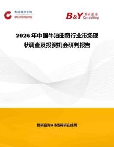 2026年中國牛油曲奇行業市場現狀調查及投資機會研判報告
