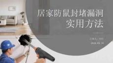 居家防鼠封堵漏洞實用方法