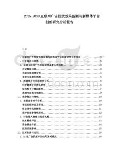2025-2030互聯網廣告投放效果監測與新媒體平臺創新研究分析報告