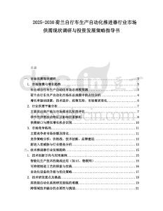 2025-2030荷蘭自行車生產自動化推進器行業市場供需現狀調研與投資發展策略指導書