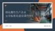 煙花爆竹生產企業安全標準化建設課件 PPT