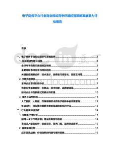 電子商務平臺行業商業模式競爭環境經營策略發展潛力評估報告