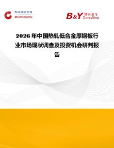 2026年中國熱軋低合金厚鋼板行業市場現狀調查及投資機會研判報告