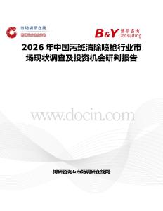 2026年中國污斑清除噴槍行業市場現狀調查及投資機會研判報告