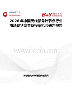 2026年中國無線傾角計節點行業市場現狀調查及投資機會研判報告