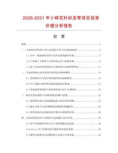 2026-2031年小碎花針織發帶項目投資價值分析報告