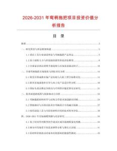 2026-2031年彎柄拖把項(xiàng)目投資價(jià)值分析報(bào)告