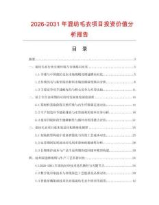 2026-2031年混紡毛衣項(xiàng)目投資價(jià)值分析報(bào)告