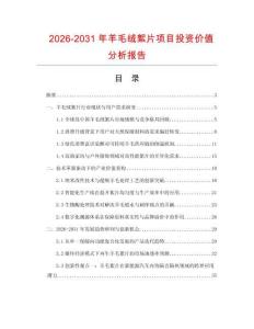 2026-2031年羊毛絨絮片項目投資價值分析報告