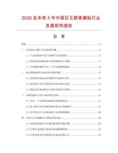 2026及未來5年中國巨王筋骨康貼行業發展研究報告
