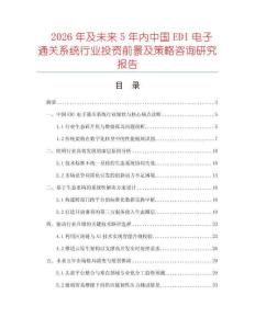 2026年及未來5年內(nèi)中國EDI電子通關(guān)系統(tǒng)行業(yè)投資前景及策略咨詢研究報告