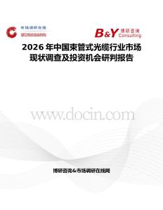 2026年中國束管式光纜行業市場現狀調查及投資機會研判報告