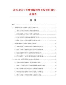 2026-2031年黃銅扁線項目投資價值分析報告