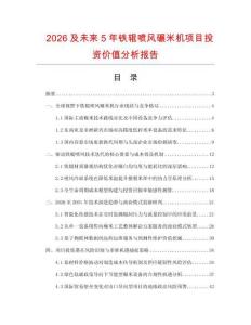 2026及未來5年鐵輥噴風碾米機項目投資價值分析報告