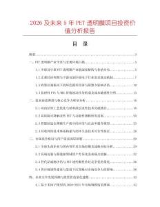 2026及未來5年PET透明膜項目投資價值分析報告