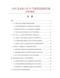 2026及未來5年PU氣墊項目投資價值分析報告