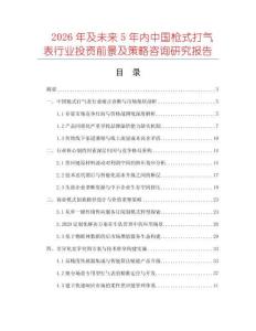 2026年及未來5年內中國槍式打氣表行業投資前景及策略咨詢研究報告