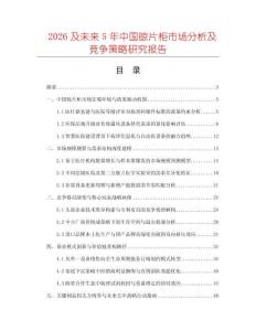 2026及未來5年中國晾片柜市場分析及競爭策略研究報告